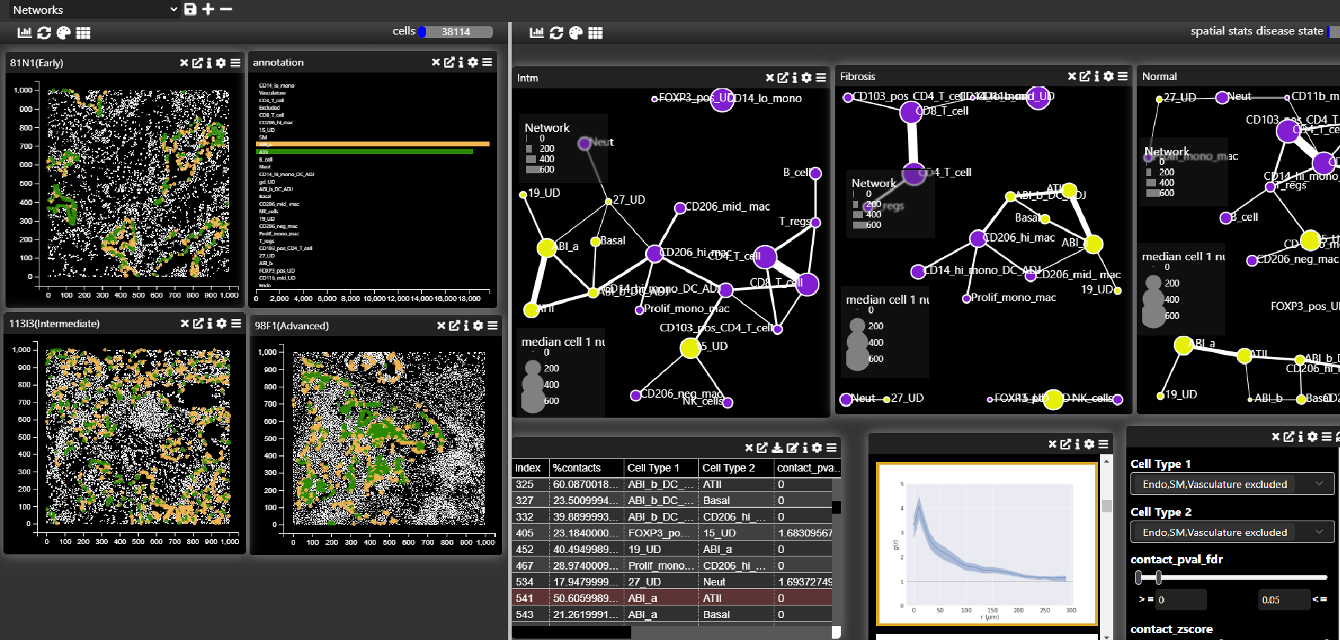 Spatial Network Analysis