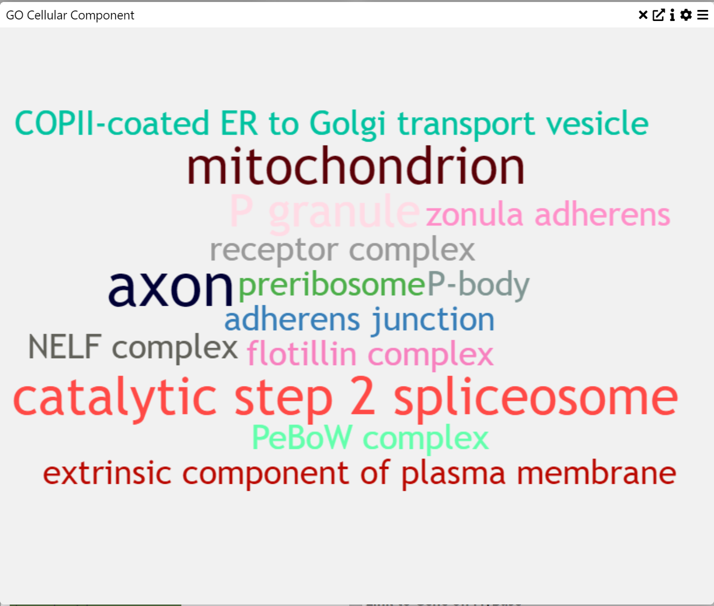 Word Cloud Example